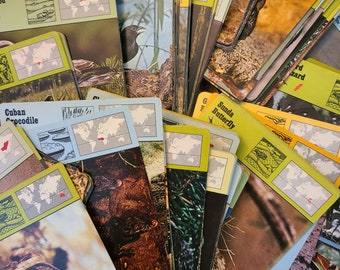 20 Vintage Animal Cards: 1970s Educational Ephemera