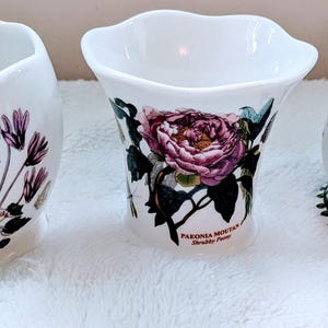 Ein gemischtes Lot von 3 Vintage Portmeirion Botanic Garten Votivkerzenhalter