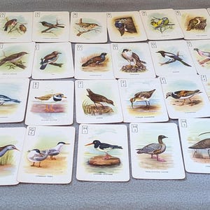 Jeu de cartes vintage British Birds