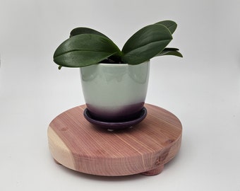 Round aromatic cedar display riser, plant stand