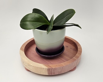 Round aromatic cedar display riser, plant stand