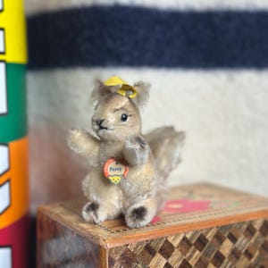 Steiff Button in Ear - Etsy