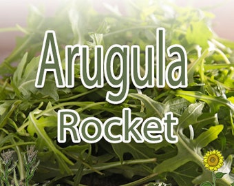 Arugula - Rocket (150+ seeds) - Heirloom, Non-GMO Garden Seeds