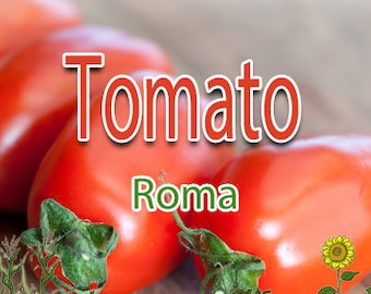 Tomato - Roma - 50+ seeds - Heirloom, Non-GMO Garden Seeds