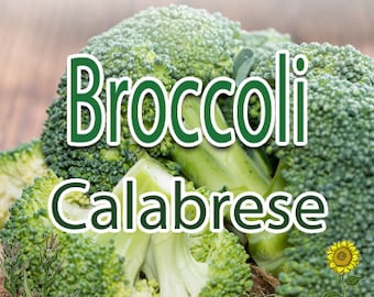 Broccoli - Calabrese -200+ seeds - Heirloom, Non-GMO Garden Seeds