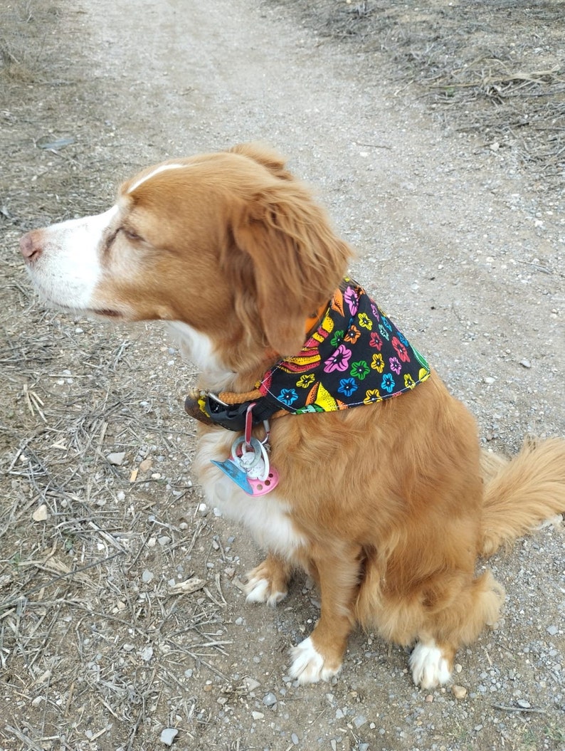 Bandana réversible pour chien image 1