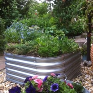 May include: A raised garden bed made of corrugated metal with a variety of plants growing inside. The bed is surrounded by small white stones and there is a terracotta pot in the background.