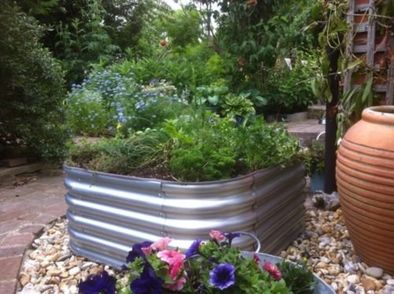 May include: A raised garden bed made of corrugated metal with a variety of plants growing inside. The bed is surrounded by small white stones and there is a terracotta pot in the background.