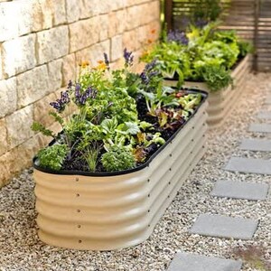 May include: A raised garden bed made of corrugated metal with a light brown finish. The bed is filled with a variety of plants, including leafy greens, herbs, and flowers.