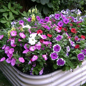 May include: A white metal planter filled with a variety of colorful flowers, including pink, purple, white, and red. The planter is sitting on a green lawn.
