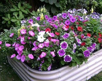 Galvanised steel modular raised garden bed cream or galvanised steel or dark grey.