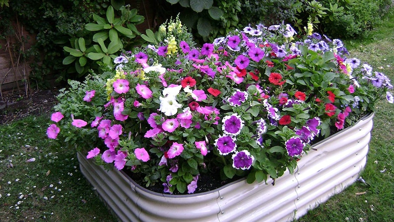 May include: A white metal planter filled with a variety of colorful flowers, including pink, purple, white, and red. The planter is sitting on a green lawn.