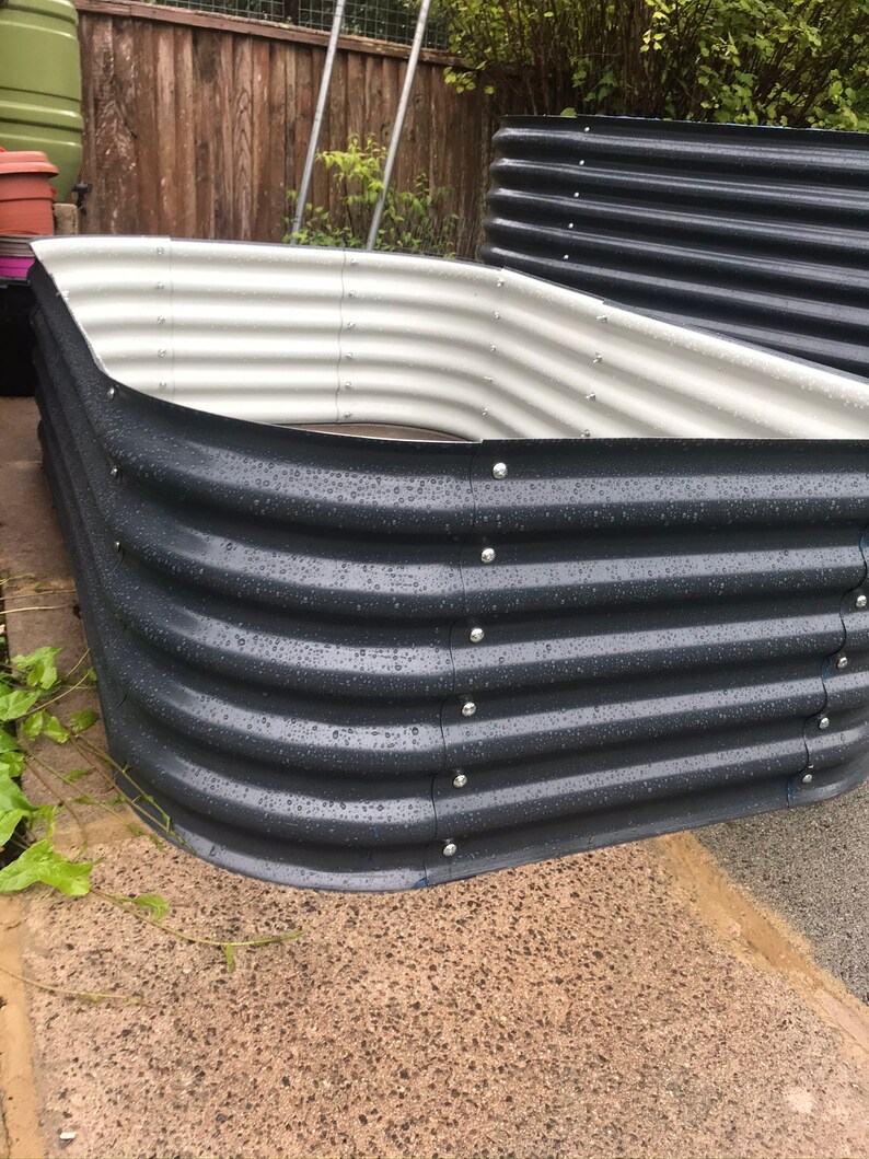 May include: A dark gray metal raised garden bed with a white interior. The bed is made of corrugated metal and has a rounded shape. The bed is wet from rain.