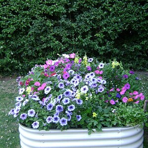May include: A white metal raised garden bed filled with a variety of colorful flowers, including purple, pink, and yellow. The bed is surrounded by green grass.