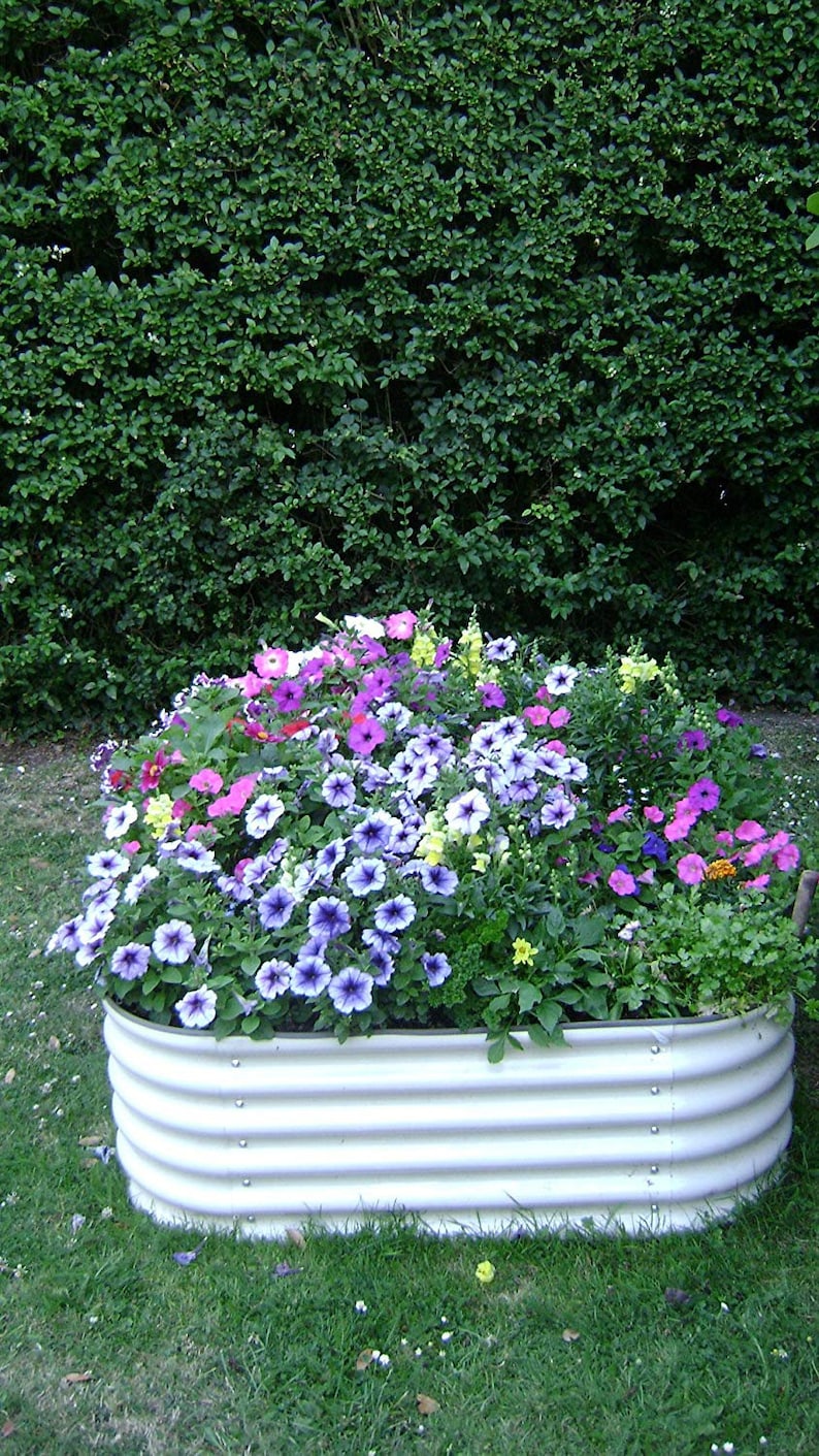 May include: A white metal raised garden bed filled with a variety of colorful flowers, including purple, pink, and yellow. The bed is surrounded by green grass.