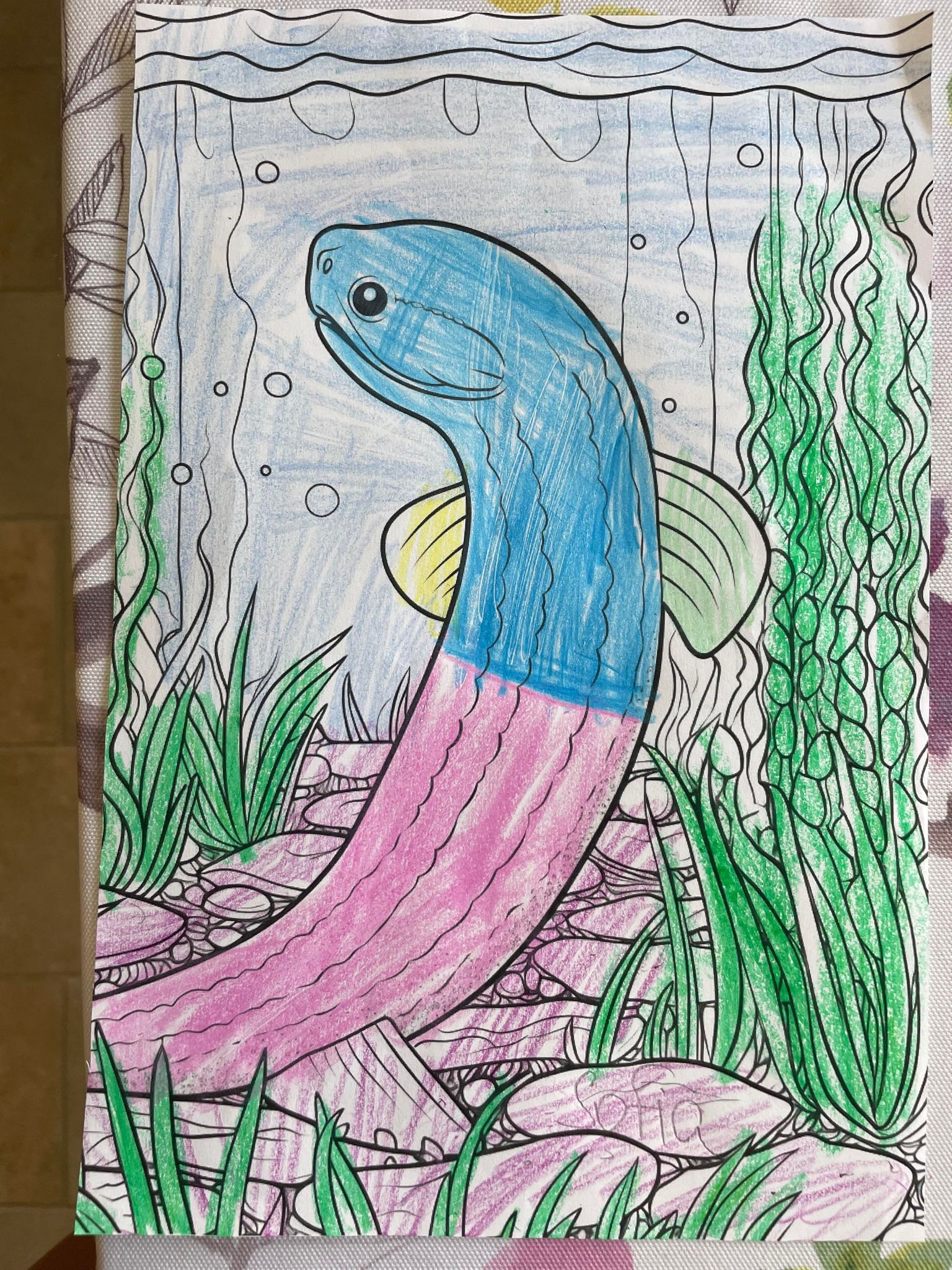 Fishing Coloring Book - Etsy