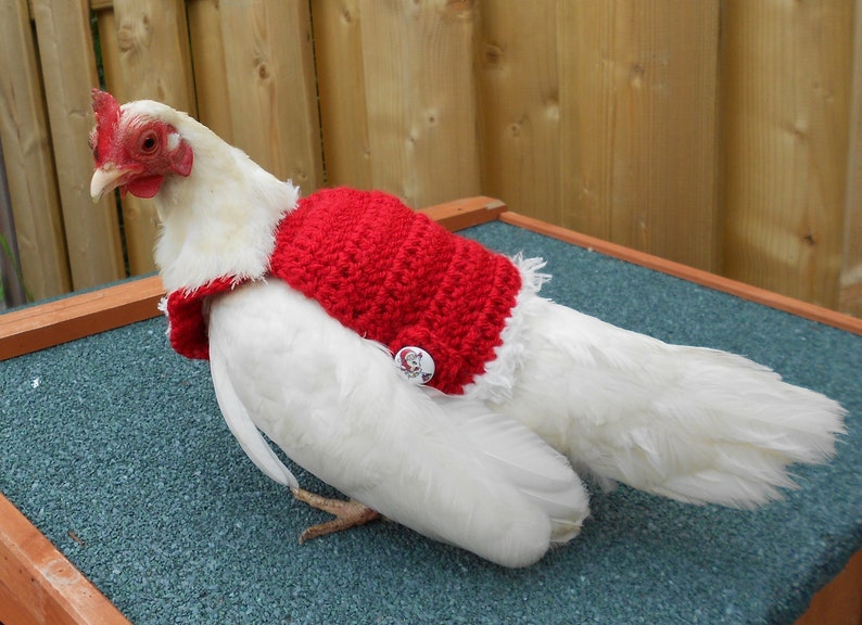 Crochet Christmas Chicken Sweater Christmas Chicken Saddle image 5