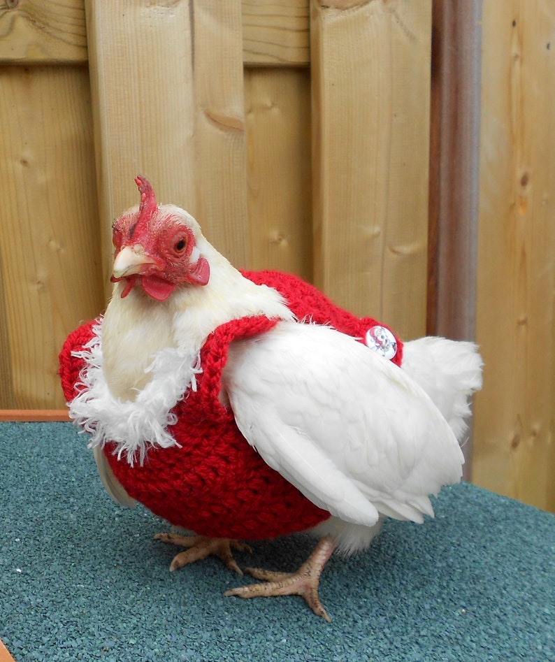 Crochet Christmas Chicken Sweater Christmas Chicken Saddle image 1