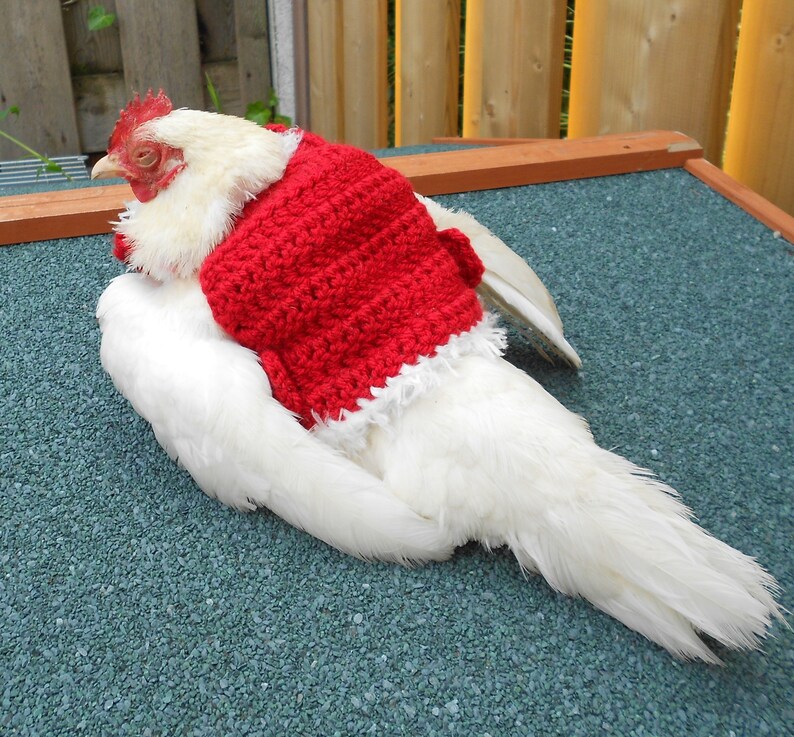 Crochet Christmas Chicken Sweater Christmas Chicken Saddle image 6