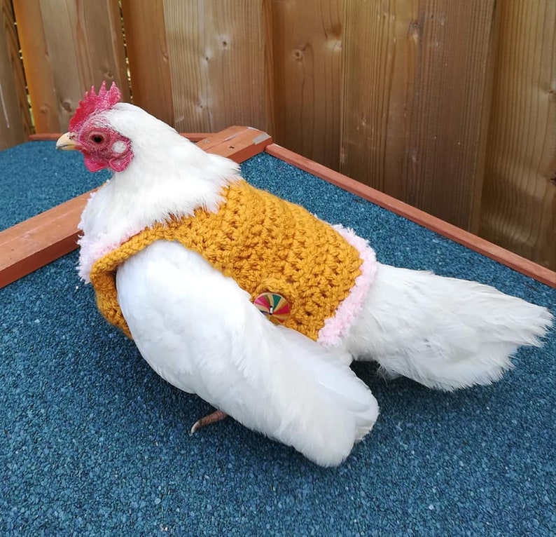 Crochet Chicken Sweater Chicken Saddle Chicken Coat Etsy