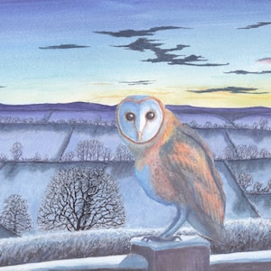 May include: A barn owl perched on a wooden post, looking out over a snowy landscape at sunset. The owl has white feathers on its face and brown and orange feathers on its body. The sky is a mix of purple, blue, and orange.