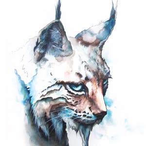 Watercolor reproduction - Lynx