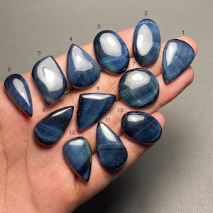 Op de afbeelding: Een verzameling van twaalf gepolijste blauwe tijgeroog edelstenen in verschillende vormen, waaronder ovaal, druppelvormig en afgerond. De edelstenen vertonen een chatoyance-effect, met glinsterende banden van kleur. De stenen worden in een hand gehouden tegen een neutrale achtergrond.