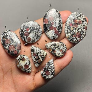 Op de afbeelding: Een verzameling van acht gepolijste edelstenen met een gespikkeld zwart-wit patroon en rode insluitsels. De stenen variëren in vorm, waaronder ovaal, rond en druppelvormig. De edelstenen worden in een hand tegen een neutrale achtergrond gehouden.