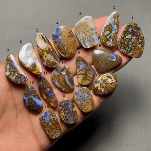 May include: Sixteen polished opal gemstones are displayed, each with distinct patterns and colours. The opals feature brown, gold, blue, and white hues. The gemstones vary in shape and size, highlighting natural variations.