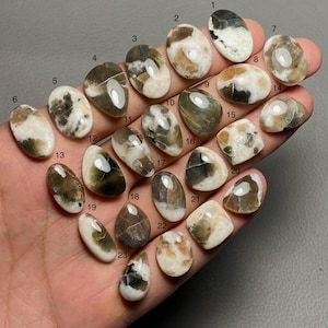 Peut inclure: Une collection de vingt-trois pierres précieuses polies de formes variées, notamment ovales, en forme de goutte et irrégulières. Les pierres présentent un mélange de couleurs, comme le blanc, le marron et le noir, avec une finition brillante. Les pierres sont tenues dans une main.