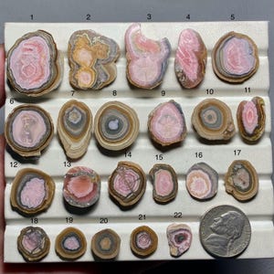May include: A selection of polished rhodonite stones, in various shapes and sizes. The stones exhibit concentric patterns of pink, brown, and grey hues. A U.S. nickel coin is included for size reference. The stones are arranged on a white surface.