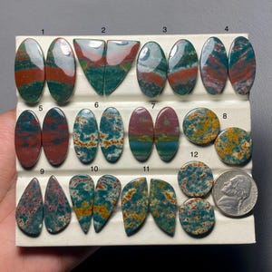 Puede incluir: Una colección de piedras preciosas pulidas en varias formas, incluyendo óvalos, lágrimas y círculos. Las piedras muestran una mezcla de colores, como verde oscuro, rojo y amarillo, con patrones únicos. Se incluye una moneda para referencia de tamaño.