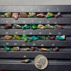 May include: A collection of twenty-eight small, irregular, polished opals arranged in rows on a black display tray. Each stone displays a unique play of color, including flashes of red, green, blue, and orange. A US nickel is placed near the bottom.