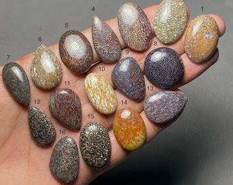 Osso de dinossauro fossilizado de alta qualidade, 100% natural, cabochão de pedra preciosa para confecção de joias. Código MI-1379.