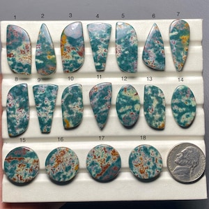 May include: Eighteen polished gemstones in diverse shapes, such as teardrop, oval, and circular. The stones exhibit a mottled pattern of teal, red, and yellow hues. A nickel coin is included for size comparison.