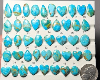 May include: A collection of turquoise gemstones in various shapes, including teardrops, ovals, and hearts. The stones display a vibrant blue color with brown matrix patterns. A US nickel is included for size reference.