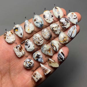 Op de afbeelding: Een verzameling van drieëntwintig gepolijste edelstenen in verschillende vormen, waaronder ovaal, druppelvormig en vierkant. De stenen hebben een mix van witte, bruine en gouden kleuren, met enkele blauwe en zwarte insluitsels. De edelstenen worden op een hand getoond.