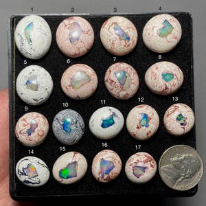 Puede incluir: Una colección de diecisiete cabujones de ópalo en una bandeja negra, cada uno con patrones y colores únicos. Los ópalos varían en color de blanco a rosa y gris, con destellos de azul, verde y naranja. Se incluye una moneda como referencia de tamaño.