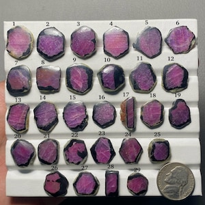 May include: A collection of twenty-nine raw, pinkish-red tourmaline slices with dark edges, arranged on a white display tray. Each stone is numbered from 1 to 29. A United States nickel coin is placed in the bottom right corner for size reference.