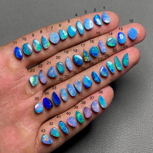 May include: A collection of 43 opals in various shapes and sizes, displayed on a hand. The opals range in color from light blue to dark blue, with some displaying iridescent flashes of green, pink, and orange. Each opal is numbered for identification.