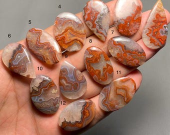 May include: Twelve agate cabochons in various shades of brown, orange, and white with intricate patterns. The cabochons are arranged in a row on a hand.