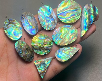 Coquille d'ormeau Une qualité unique, 100 % naturelle, coquille d'ormeau, cabochon de pierres précieuses, pierres précieuses en vrac pour la fabrication de bijoux Code MI-1273