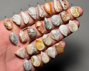 May include: A collection of twenty-eight polished agate gemstones in various shapes and sizes. The stones display a range of colors, including brown, white, orange, and gray, with unique banding patterns. Each stone is numbered for identification.