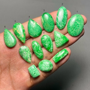 Op de afbeelding: Een verzameling van dertien groene edelstenen in verschillende vormen, waaronder ovaal, druppelvormig en rechthoekig. De stenen hebben een gespikkelde uitstraling met lichtere groene en witte patronen. De edelstenen worden op een hand getoond, waarbij hun gepolijste oppervlakken worden getoond.