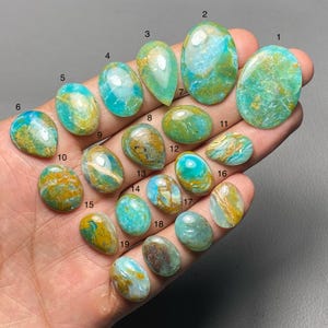 May include: A collection of nineteen polished gemstones in various shapes, including ovals and teardrops. The stones display a mix of turquoise, gold, and brown hues, with unique veining patterns. The gemstones are numbered 1 through 19.
