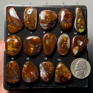 Op de afbeelding: Een verzameling van veertien gepolijste agaat edelstenen in tinten bruin, oranje en wit, tentoongesteld in een zwarte bak. Elke steen heeft unieke patronen en texturen. Een Amerikaanse nikkelmunt is inbegrepen ter referentie.