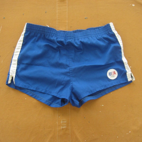 Medium / 34 Waist 80s Levis Olympics Swimsuit / Blue, 1980s, Track Shorts, Lined