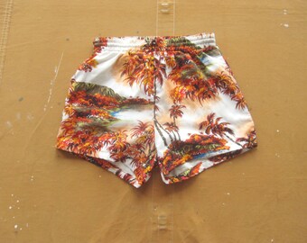 XS / Small 70s Hawaiian Swimsuit / Royal Hawaiian, 1960s 60s 1970s, Aloha, Tropical, Bathing Suit Swim Trunks 26 28 30