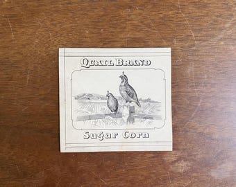 Antique 1920s Original Pen & Ink Advertising Drawing Quail Sugar Corn Packaging Design