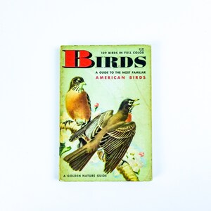 BIRDS / Vintage Golden Guide / Vintage Bird Guide